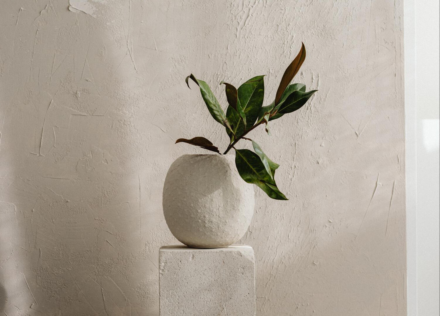 minimal carrd templates